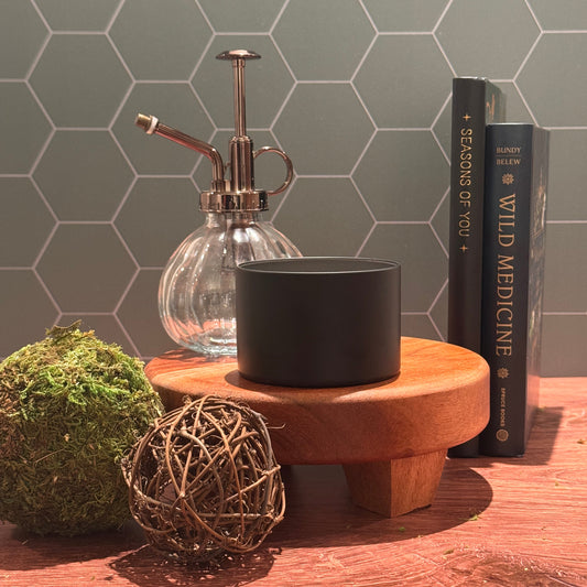 *Pre-Order* Herbology Greenhouse