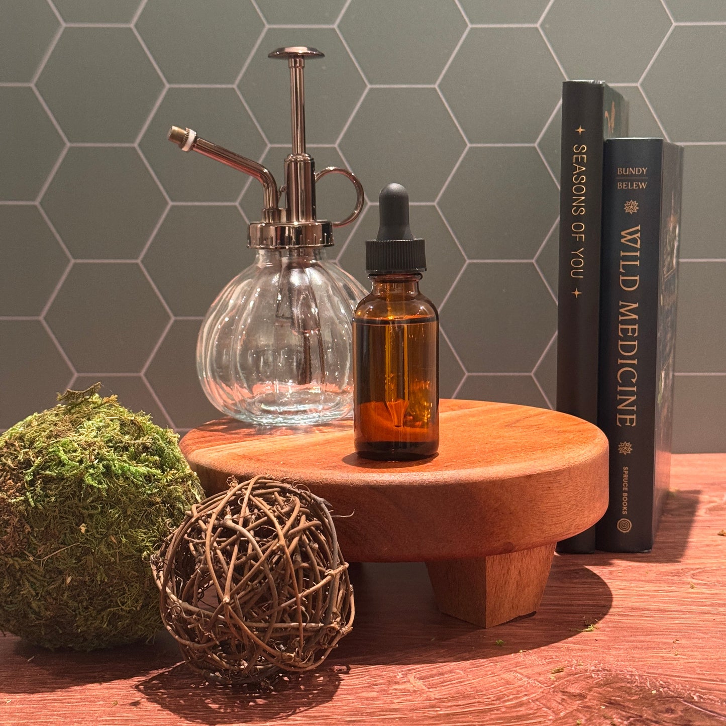 *Pre-Order* Herbology Greenhouse